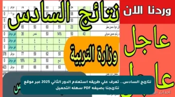 نتائج السادس.. تعرف على طريقة استعلام الدور الثاني 2025 عبر موقع نتائجنا بصيغة PDF سهلة التحميل